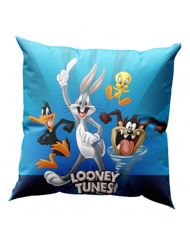 Μαξιλάρι με γέμιση Art 6188 Looney Tunes 40x40 Μπλε   Beauty Home