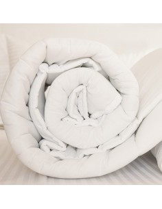 ΠΑΠΛΩΜΑ ΥΠΕΡΔΙΠΛΟ MICROFIBER 300 GSM