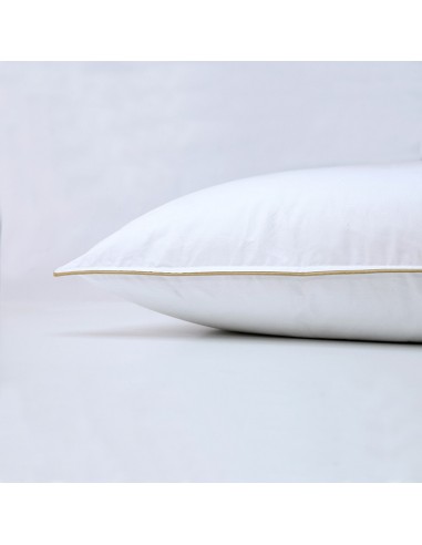 ΜΑΞΙΛΑΡΙ ΥΠΝΟΥ 50X70 ΒΑΜΒΑΚΕΡΟ 850GR