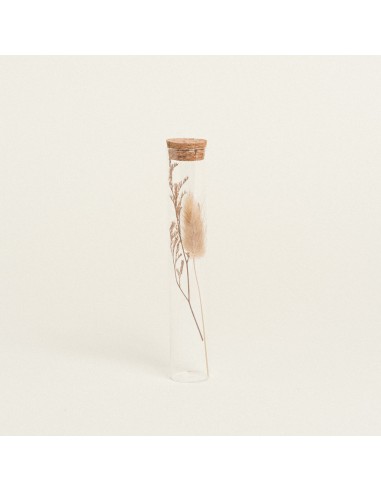 ΓΥΑΛΙΝΟΣ ΣΩΛΗΝΑΣ ΜΕ ΚΛΑΔΙΑ 3 x 18 cm  Μπεζ Beauty Home