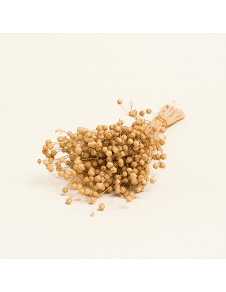 Beauty Home ΑΠΟΞΗΡΑΜΕΝΟ ΛΙΝΑΡΙ  ΦΥΣΙΚΟ