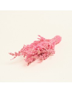 Beauty Home ΑΠΟΞΗΡΑΜΕΝΗ ΛΕΒΑΝΤΑ  Ροζ