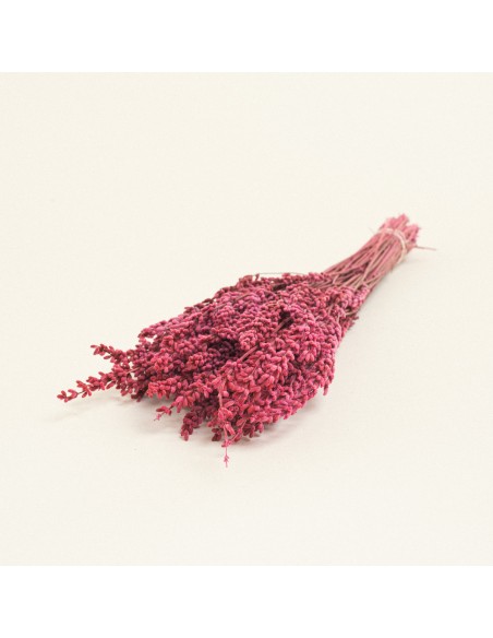 Beauty Home ΑΠΟΞΗΡΑΜΕΝΗ ΛΕΒΑΝΤΑ  Σάπιο Μήλο