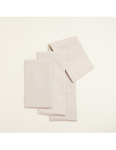 Beauty Home ΔΙΑΚΟΣΜΗΤΙΚΟ ΛΑΜΠΑΔΑΣ ΜΙΚΡΑ ΜΟΝΣΤΕΡΑ   35 x 22 cm 2