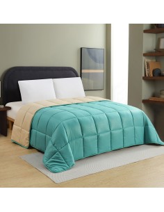 ΠΑΠΛΩΜΑ ΜΟΝΟ BROOKLYN PETROL/BEIGE (160X220)