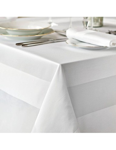 Beauty Home Πετσετάκι επαγγελματικό Satin Band Art Ε8035 53x53 Λευκό