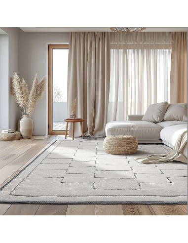 Beauty Home Χαλί Cozy Art 9636 133x190 Εκρού