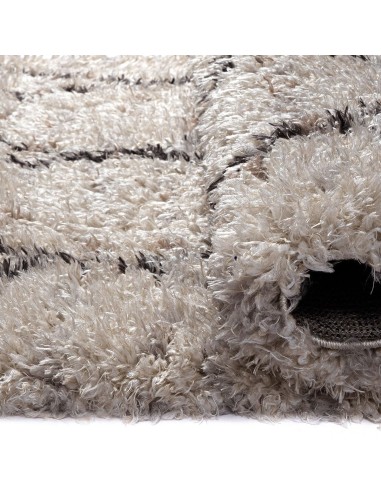 Beauty Home Χαλί Majestic Art 9717 160x230 Ecru Εκρού