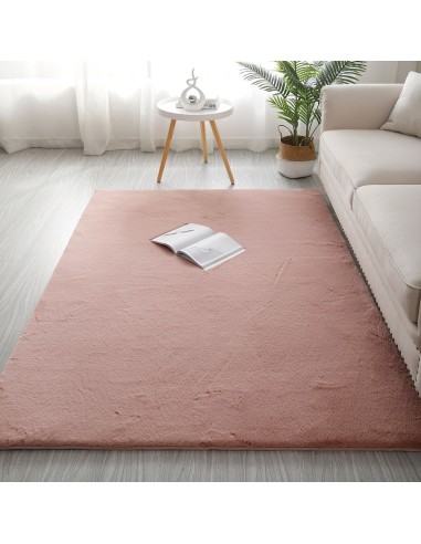 Beauty Home Πατάκι Rabbit Art 9645 67x140 Αμέθυστος