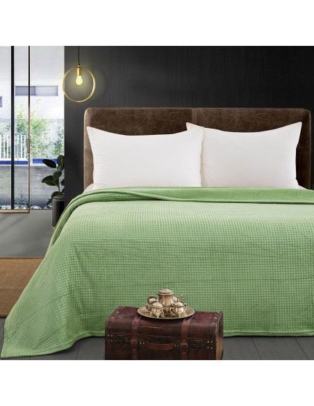 Beauty Home Κουβέρτα μονόχρωμη υπέρδιπλη Fleece Art 11552 220x240 Πράσινο