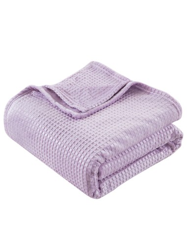 Beauty Home Κουβέρτα μονόχρωμη υπέρδιπλη Fleece Art 11553 220x240 Λιλά