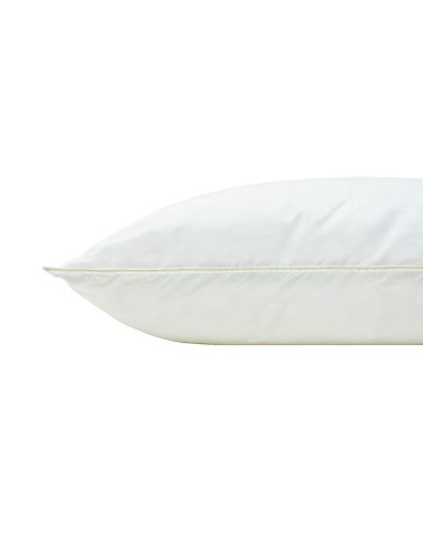 ΜΑΞΙΛΑΡΙ ΥΠΝΟΥ 50X70 ΠΟΥΠΟΥΛΕΝΙΟ 1000GR (SOFT FEATHER)
