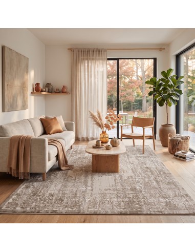 Beauty Home Χαλί Vision Art 9258 Μπεζ
