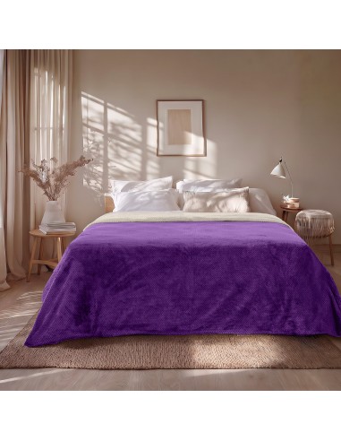 Beauty Home Κουβέρτα υπέρδιπλη διπλής όψεως Art 11601 Jacquard fleece 700gsm Fiesta Plus 220x240 Εκρού