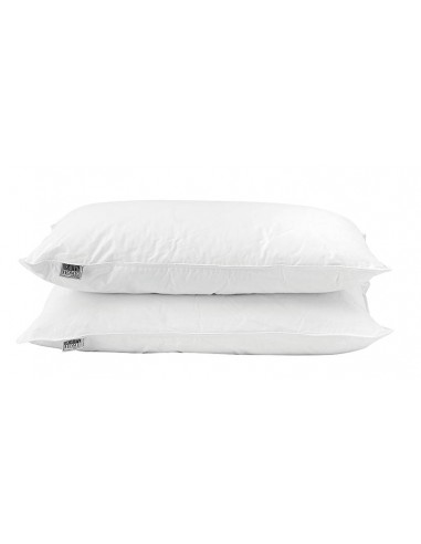 Μαξιλάρι ύπνου πουπουλένιο Art 4030  50x70  Λευκό